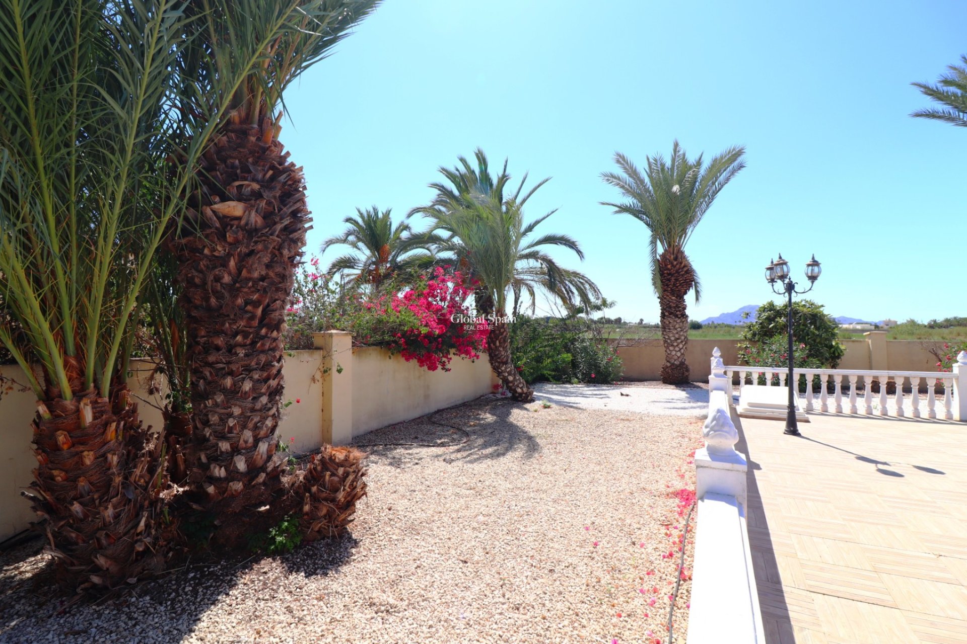 Venta - CASA -
Catral - Catral - Country