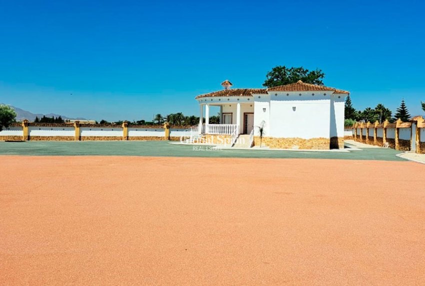 Venta - CASA -
Catral - Catral - Country