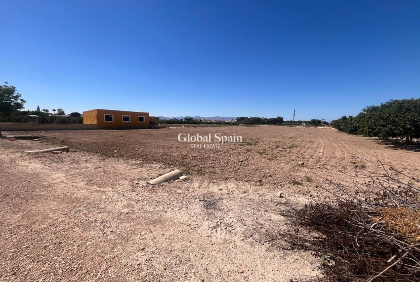 Venta - CASA -
DAYA NUEVA - La Bodega