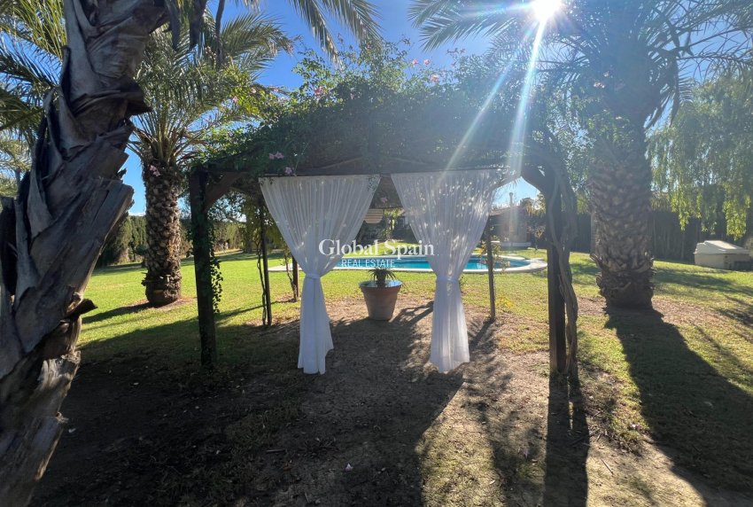 Venta - CASA -
DOLORES - Comunidad Valenciana