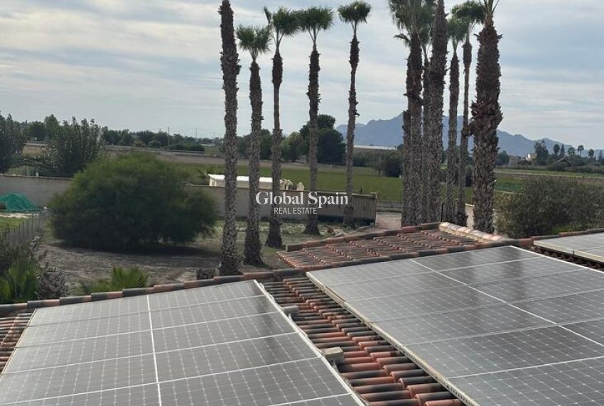 Venta - CASA -
DOLORES - Costa Blanca