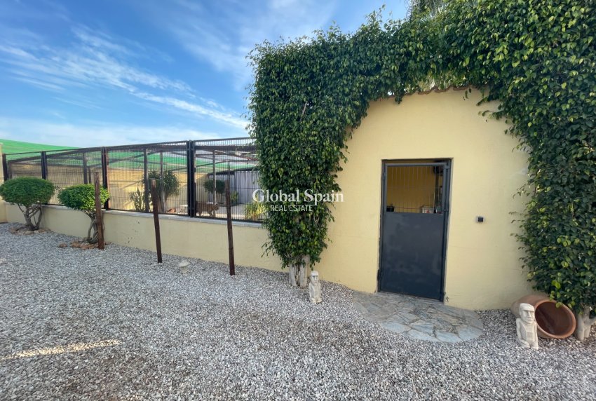 Venta - CASA -
ELCHE - Costa Blanca