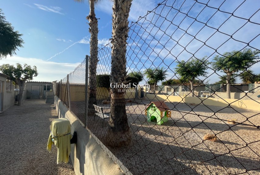 Venta - CASA -
ELCHE - Costa Blanca