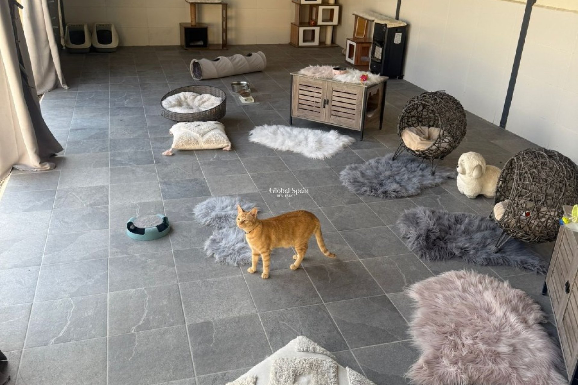 Venta - CASA -
ELCHE - Costa Blanca