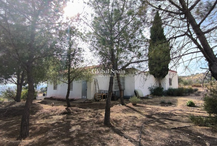 Venta - CASA -
FORTUNA - Inland