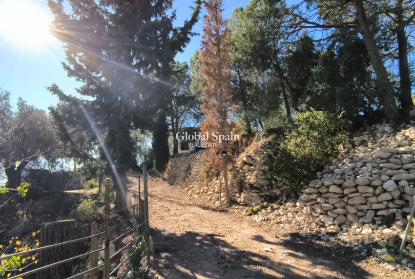 Venta - CASA -
FORTUNA - Inland