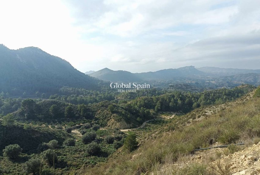 Venta - CASA -
GEA Y TRUYOLS - Inland