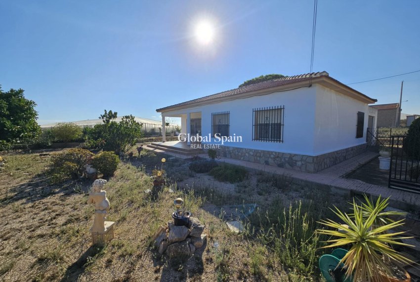 Venta - CASA -
GUARDAMAR DEL SEGURA - Buenavista