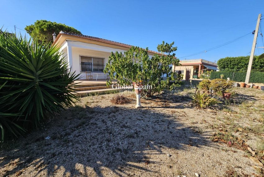 Venta - CASA -
GUARDAMAR DEL SEGURA - Buenavista