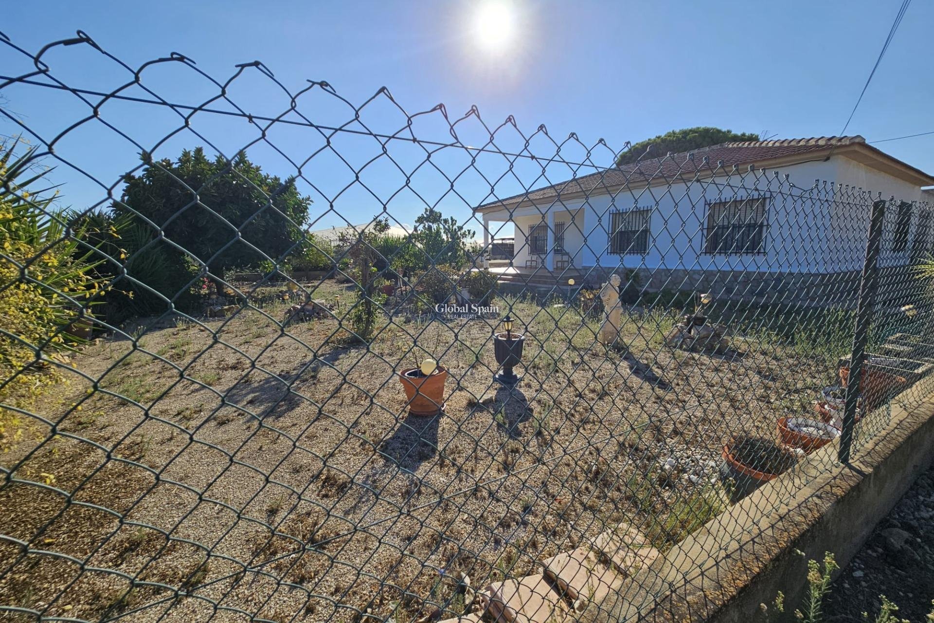 Venta - CASA -
GUARDAMAR DEL SEGURA - Buenavista