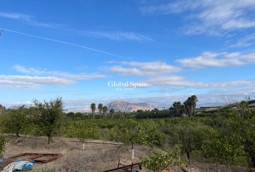 Venta - CASA -
JACARILLA - Inland