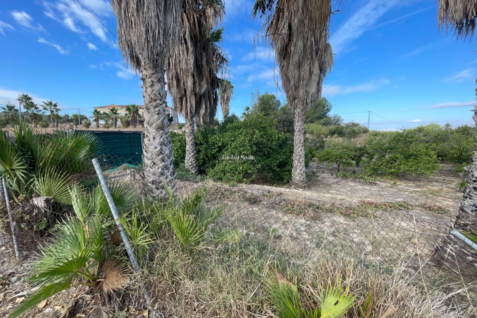 Venta - CASA -
JACARILLA - Inland