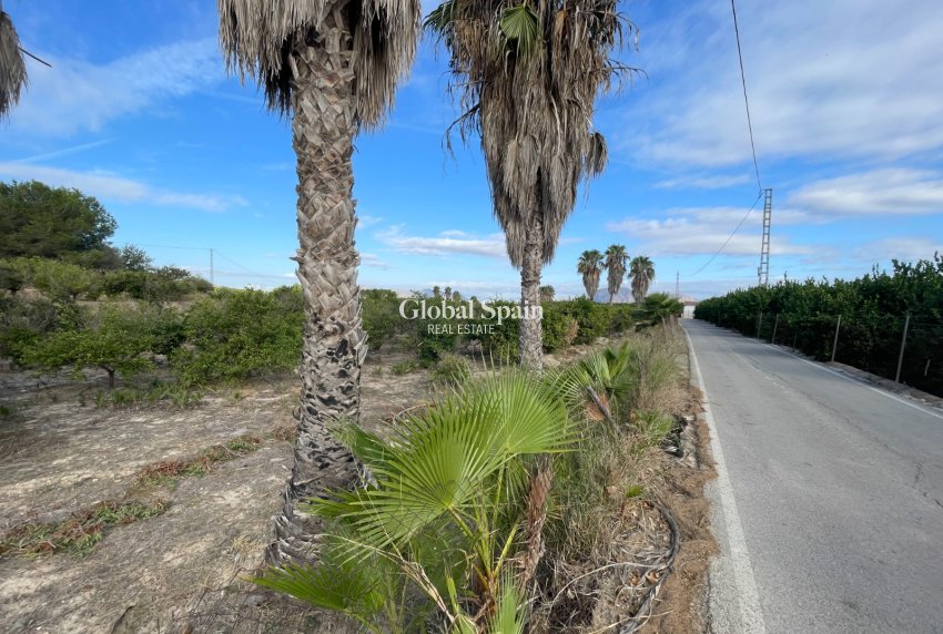 Venta - CASA -
JACARILLA - Inland