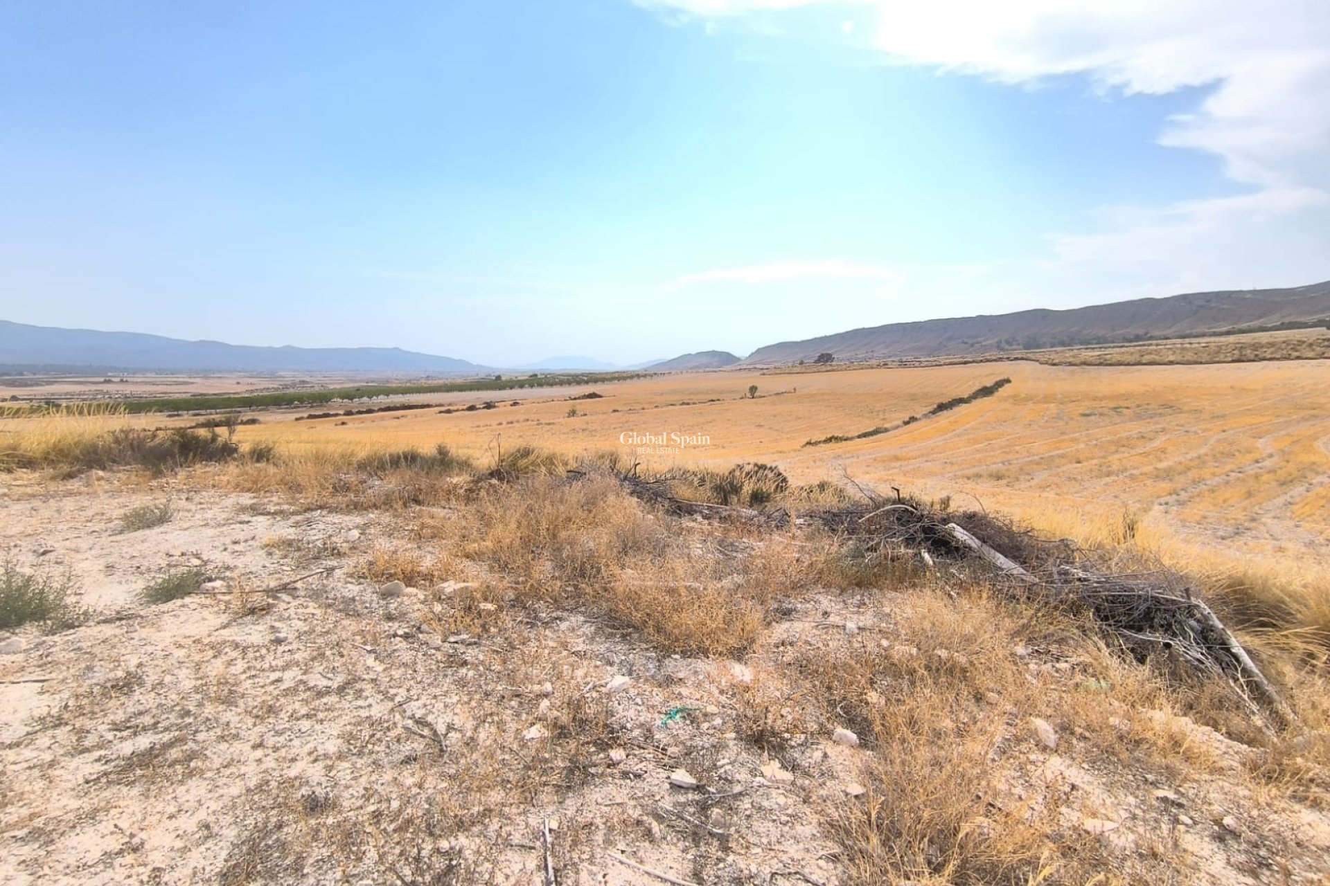 Venta - CASA -
JUMILLA - Inland