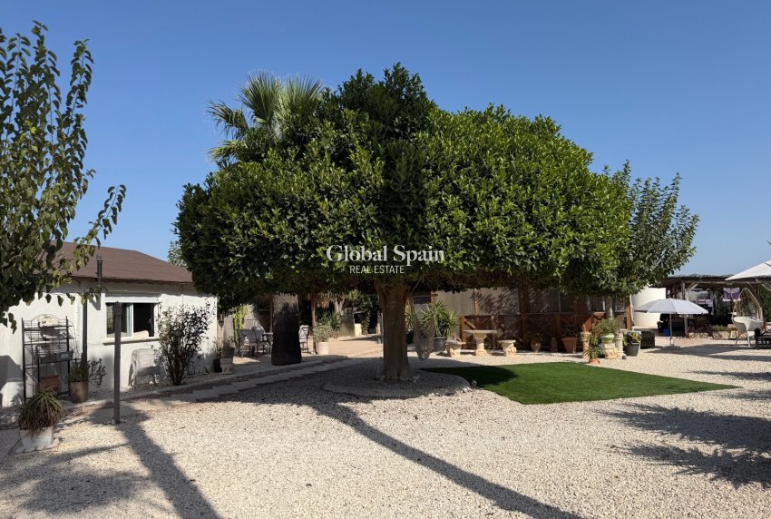Venta - CASA -
LA MARINA - Elche / Elx