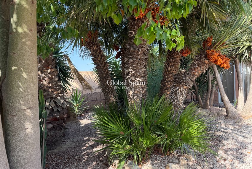 Venta - CASA -
LA MARINA - Elche / Elx