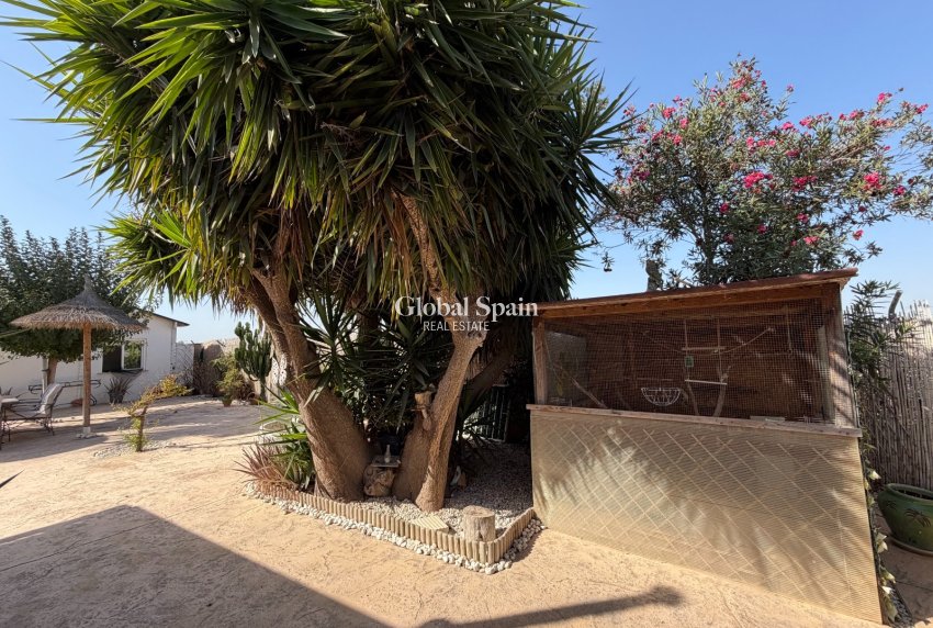 Venta - CASA -
LA MARINA - Elche / Elx