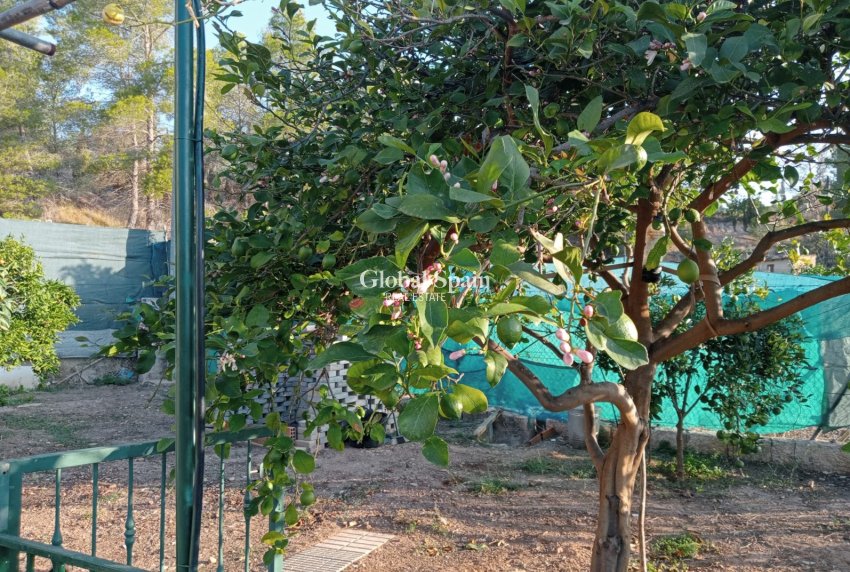 Venta - Casa -
La Nucía - La nucia