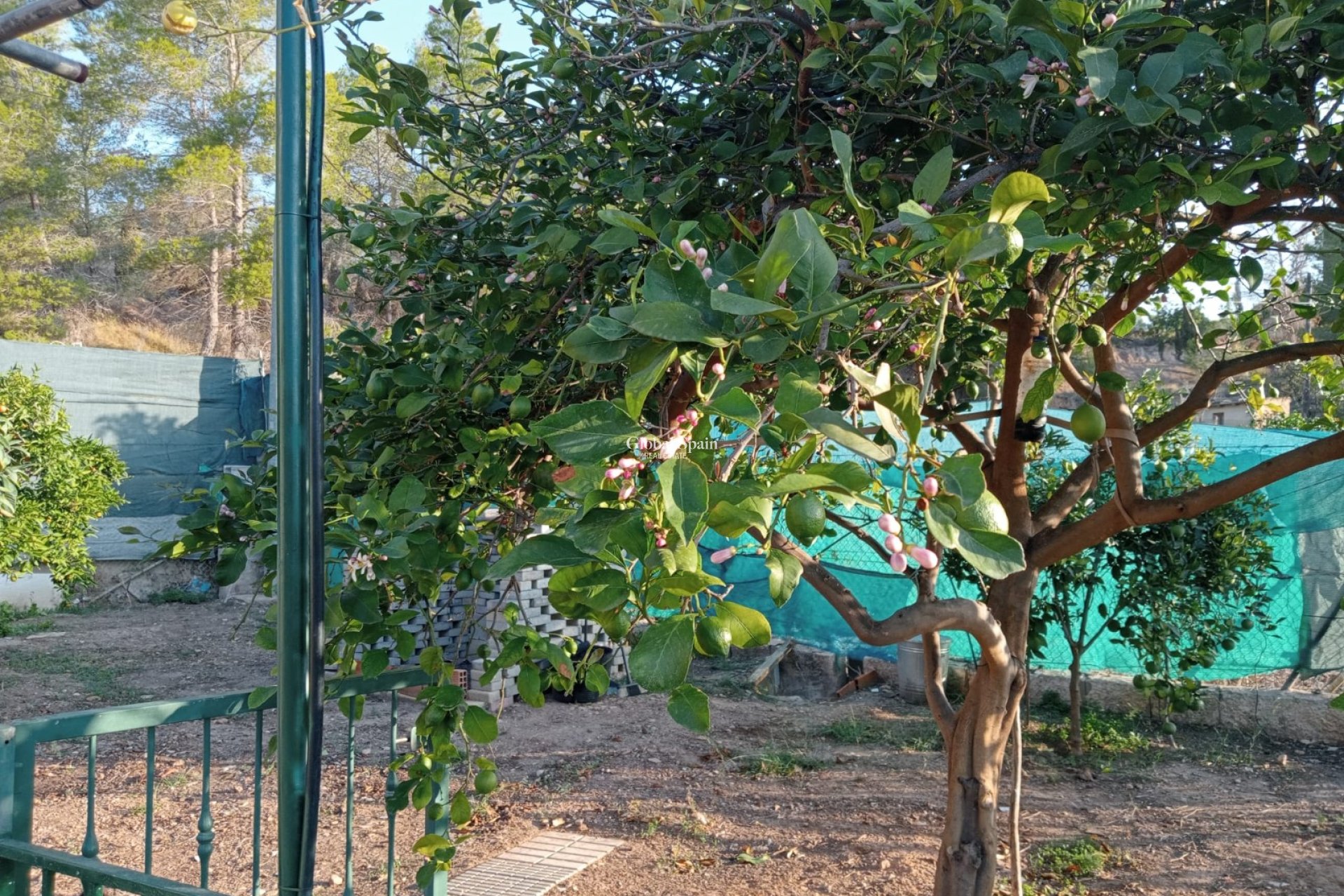 Venta - Casa -
La Nucía - La nucia