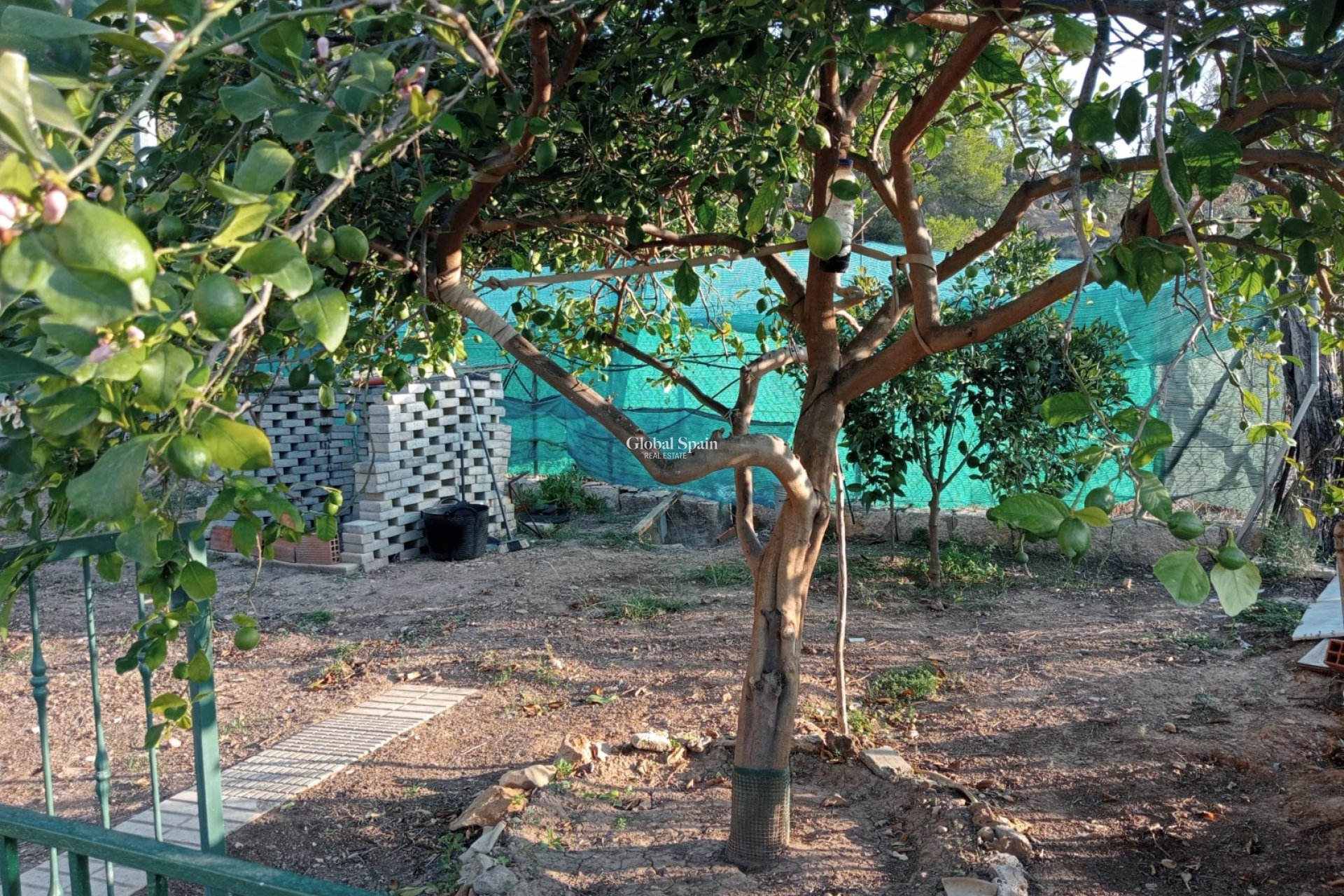 Venta - Casa -
La Nucía - La nucia