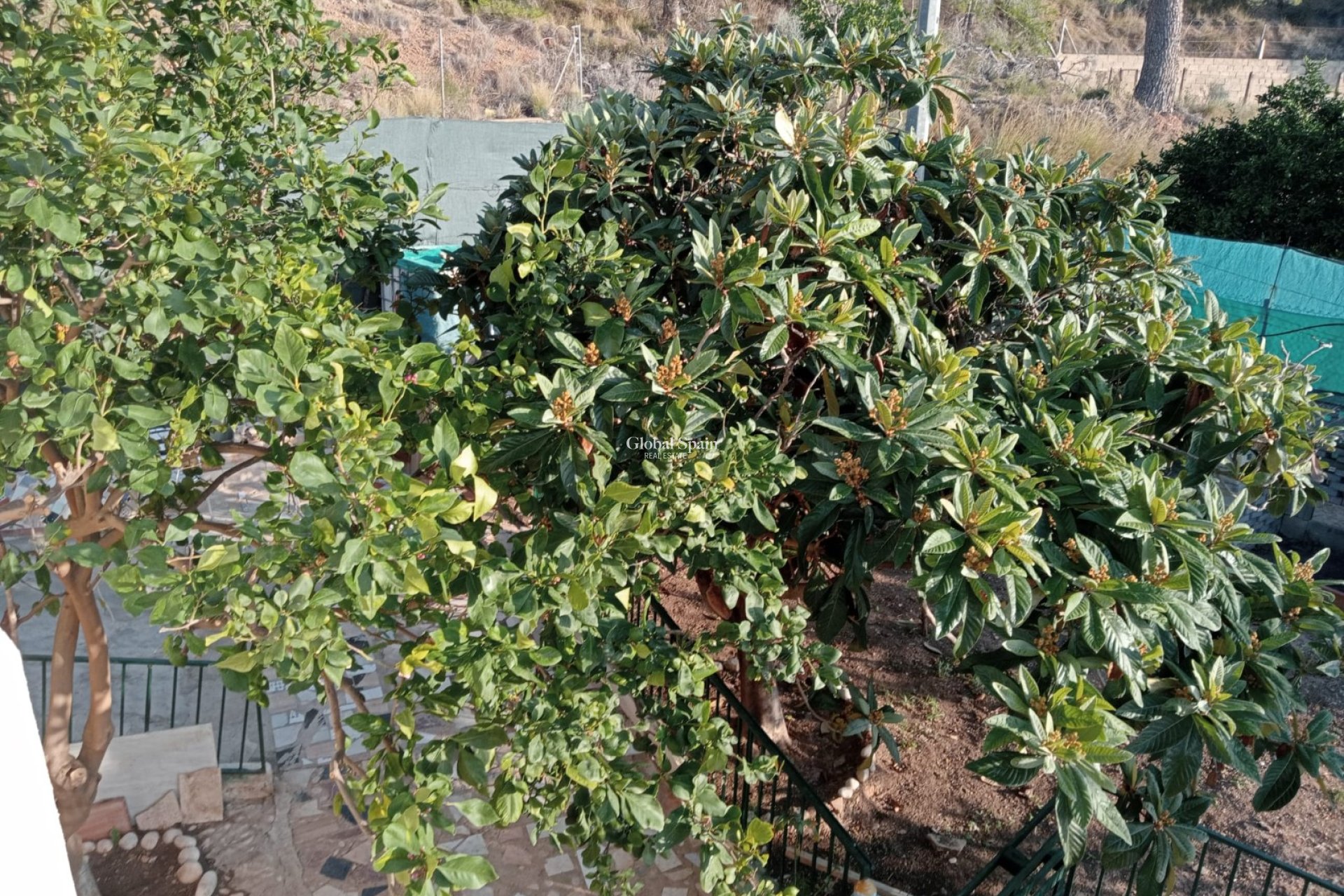 Venta - Casa -
La Nucía - La nucia