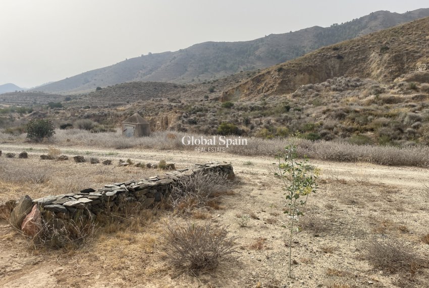 Venta - CASA -
LA PINILLA - Inland