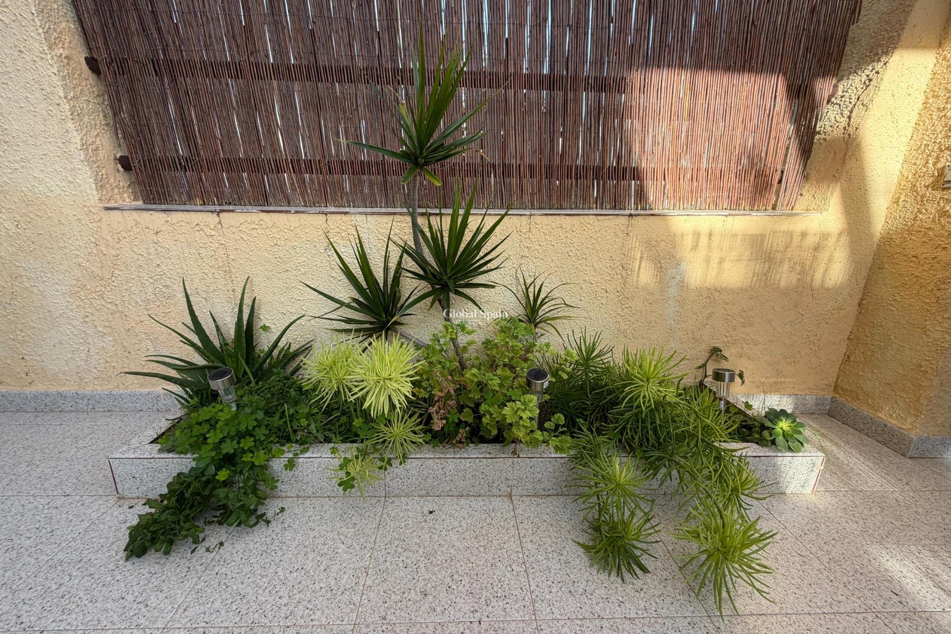 Venta - CASA -
LO PAGÁN - La Puntica