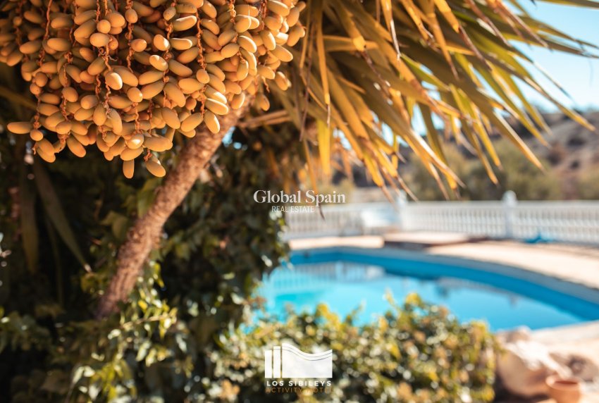 Venta - CASA -
LORCA - Lorca