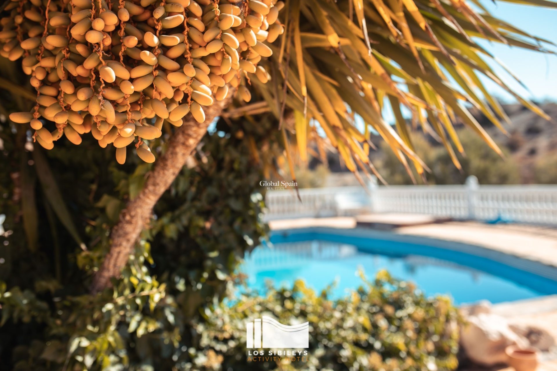 Venta - CASA -
LORCA - Lorca