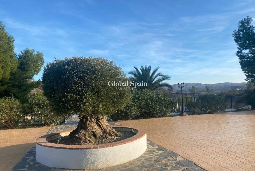 Venta - CASA -
LORCA - Lorca