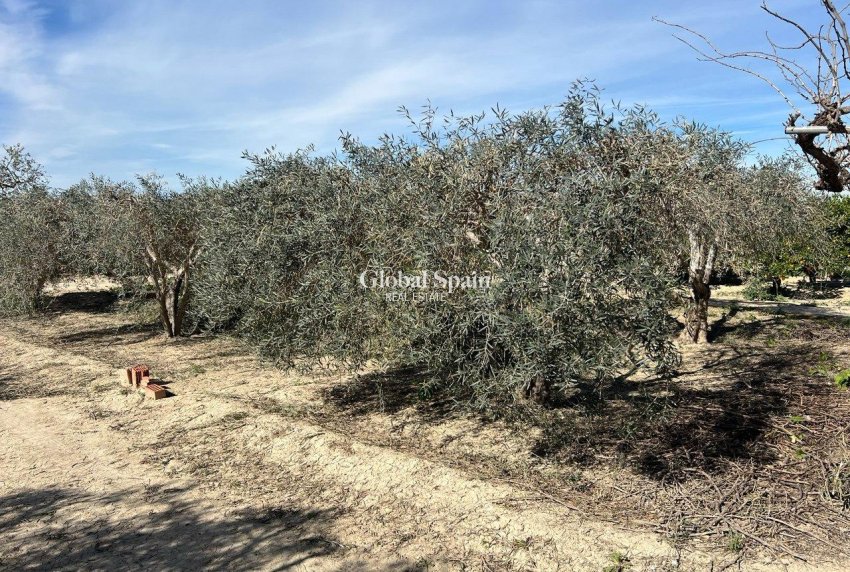 Venta - CASA -
LOS MONTESINOS - Comunidad Valenciana