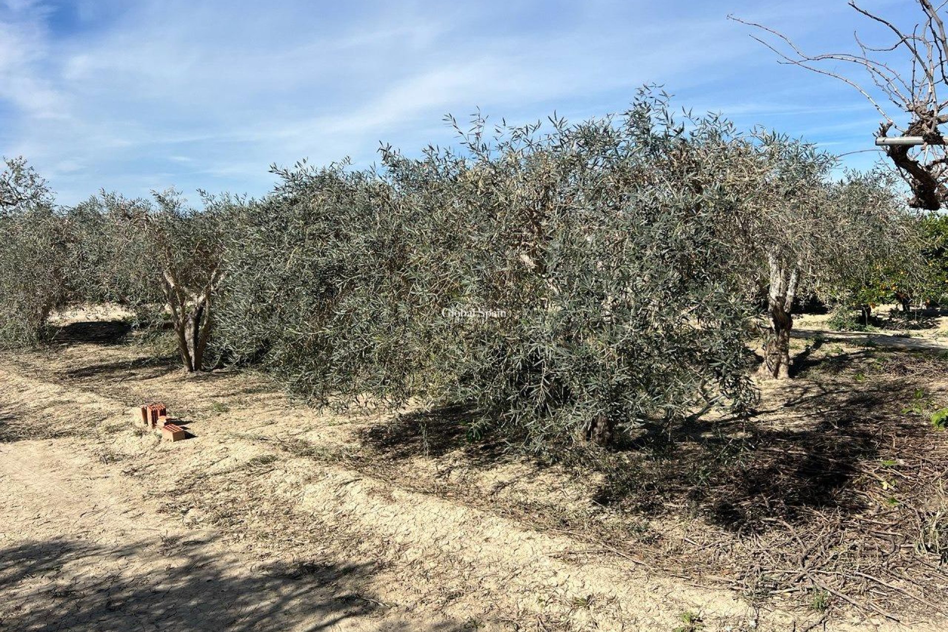 Venta - CASA -
LOS MONTESINOS - Comunidad Valenciana