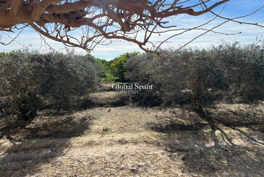 Venta - CASA -
LOS MONTESINOS - Comunidad Valenciana