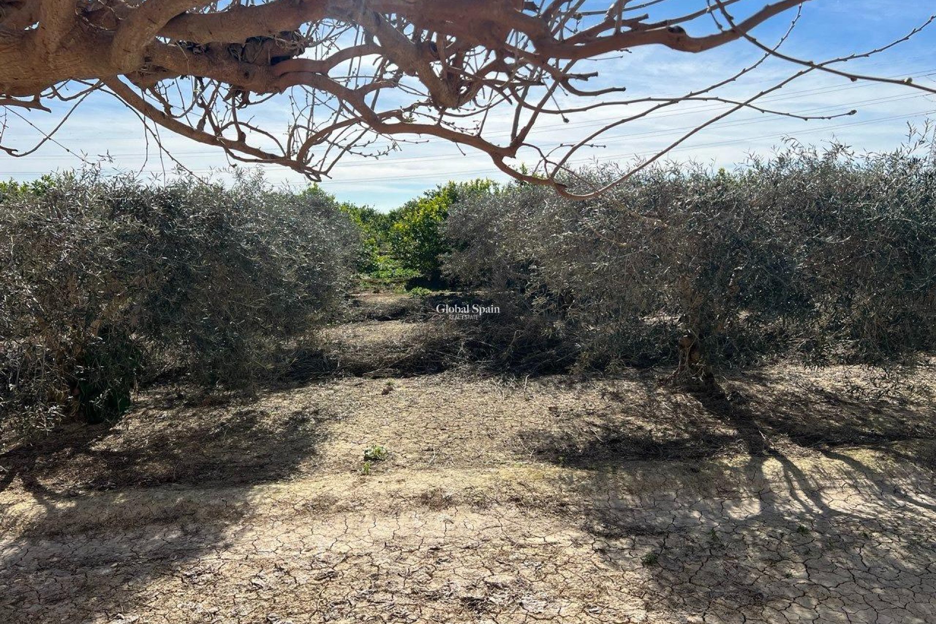 Venta - CASA -
LOS MONTESINOS - Comunidad Valenciana