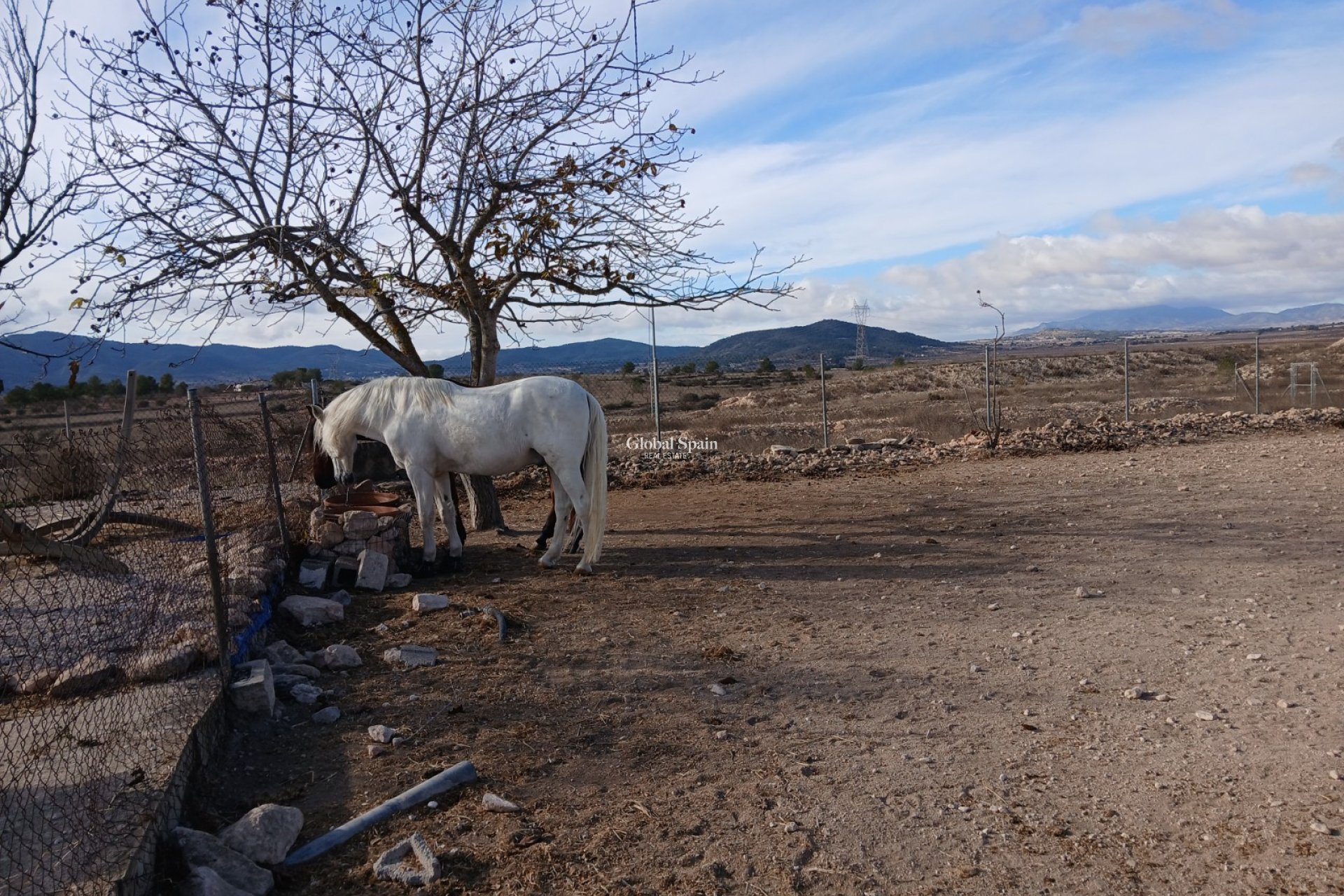 Venta - CASA -
MONÓVAR - Inland