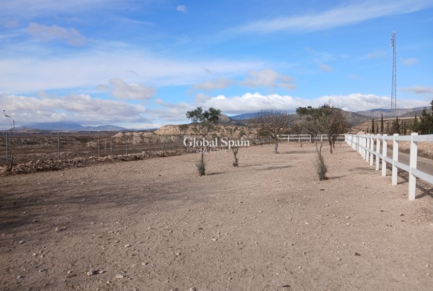 Venta - CASA -
MONÓVAR - Inland