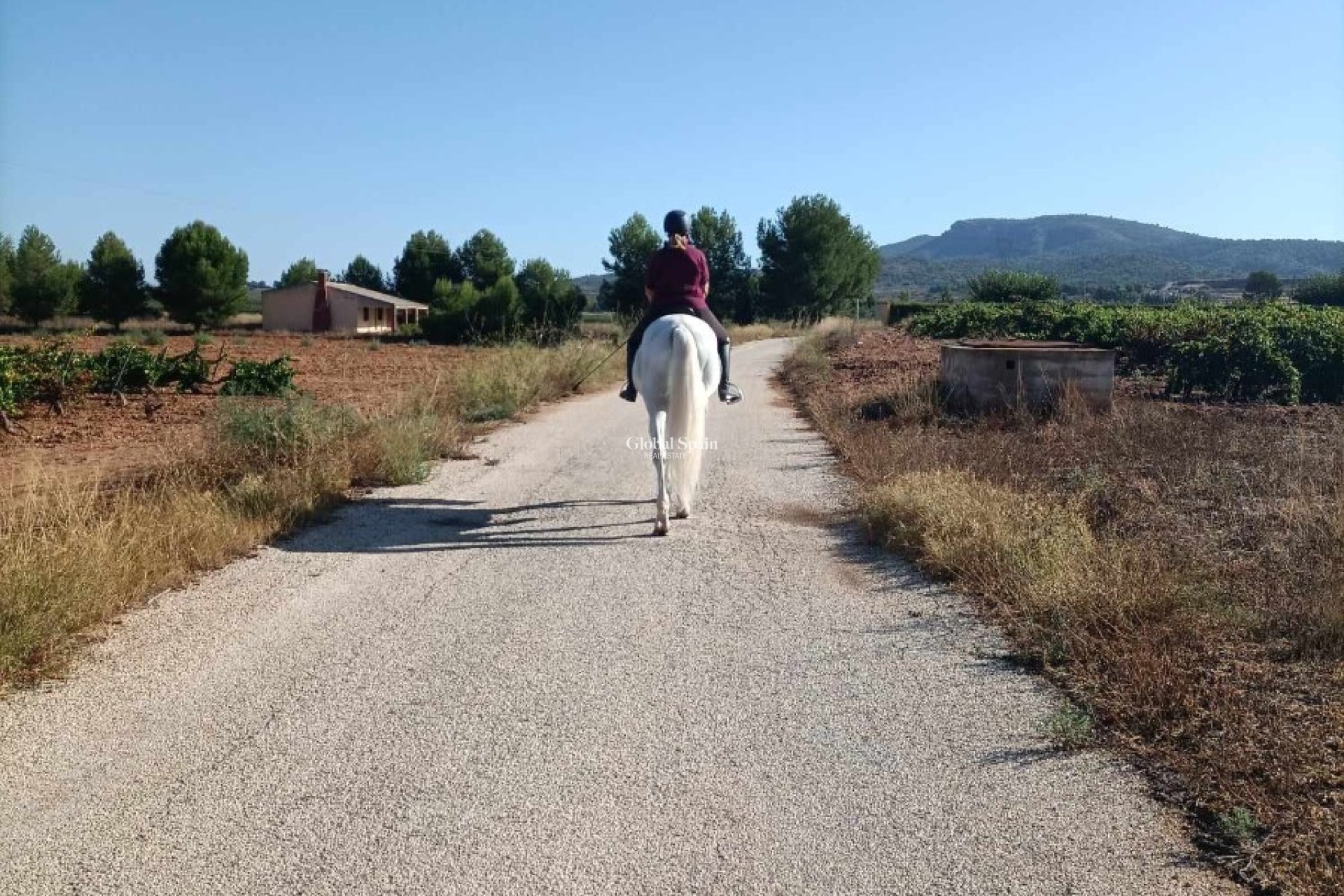 Venta - CASA -
MONÓVAR - Inland