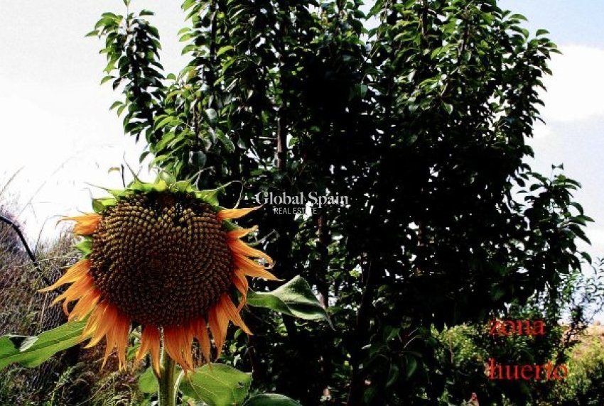 Venta - CASA -
MURCIA - Costa Blanca Sur