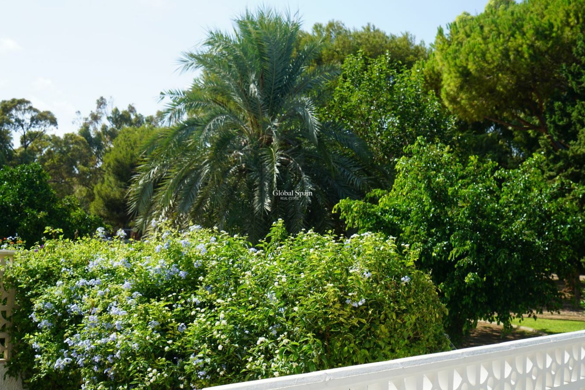 Venta - CASA -
ORIHUELA COSTA - Costa Blanca