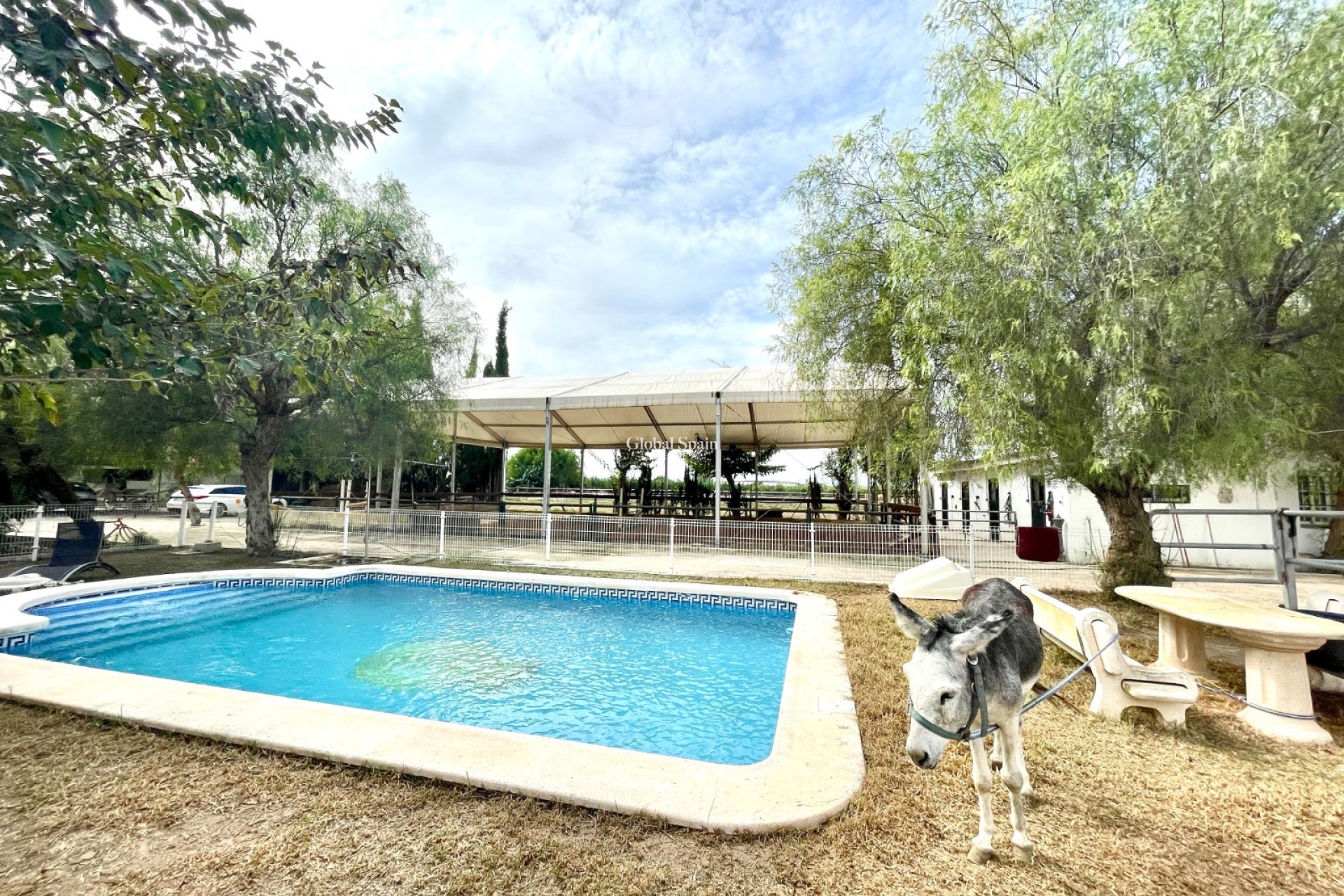 Venta - CASA -
ORIHUELA - Inland