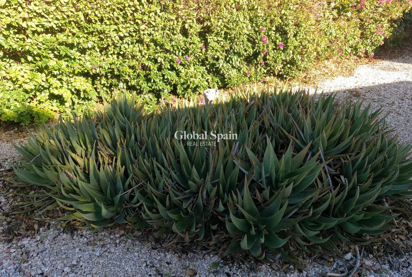 Venta - CASA -
ORIHUELA