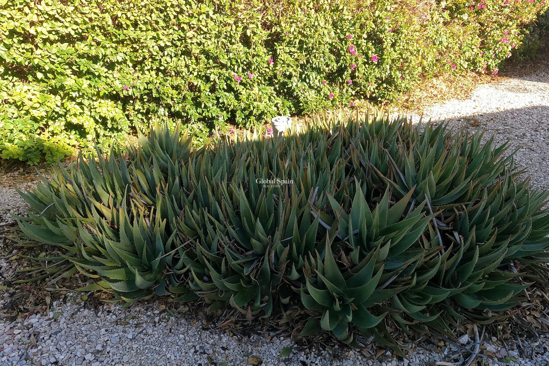 Venta - CASA -
ORIHUELA