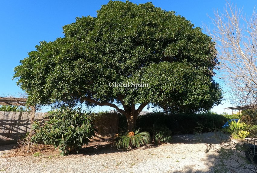 Venta - CASA -
ORIHUELA