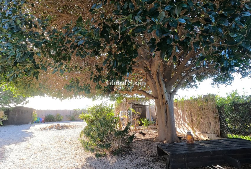 Venta - CASA -
ORIHUELA