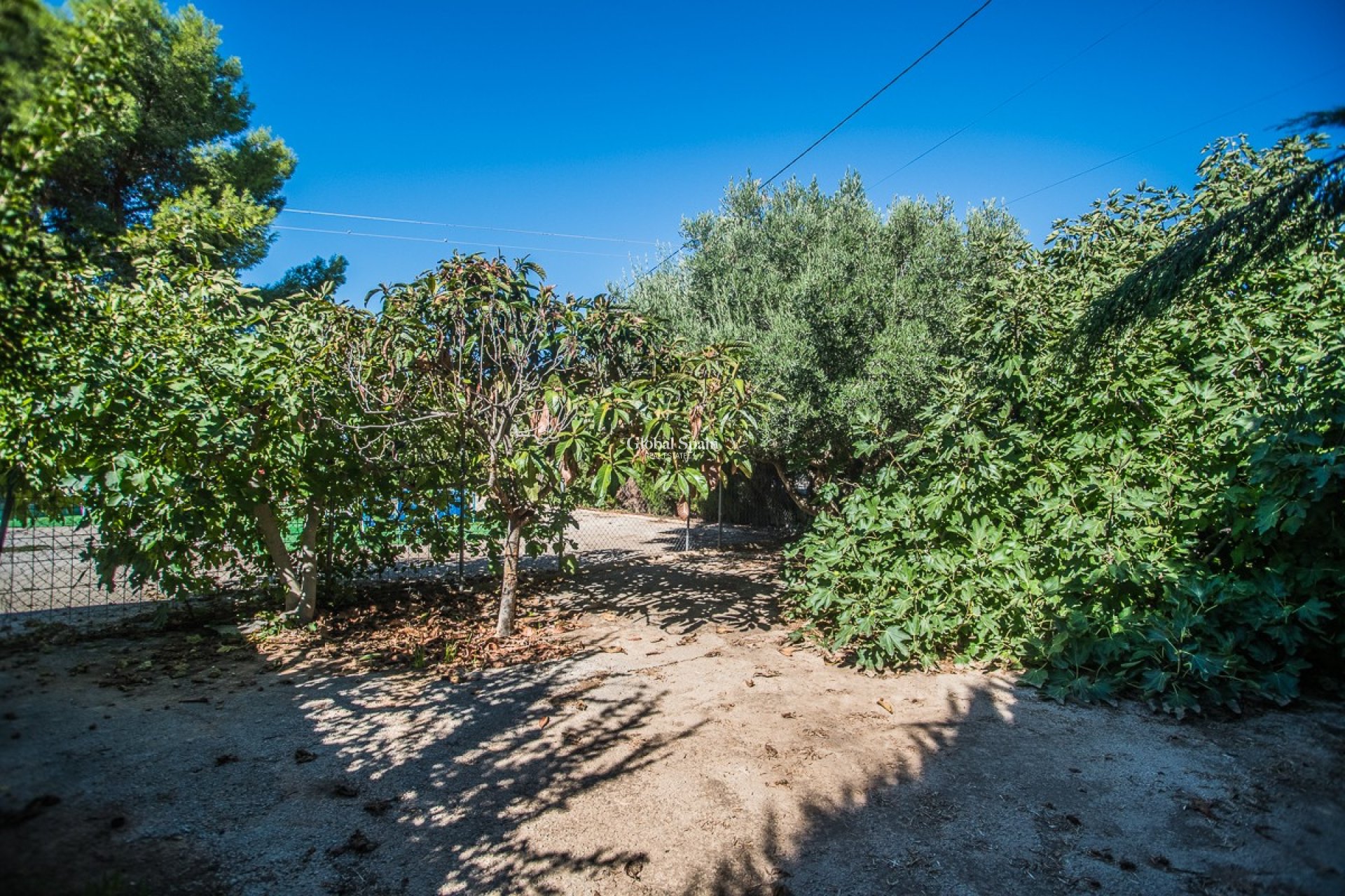 Venta - CASA -
ORIHUELA - 