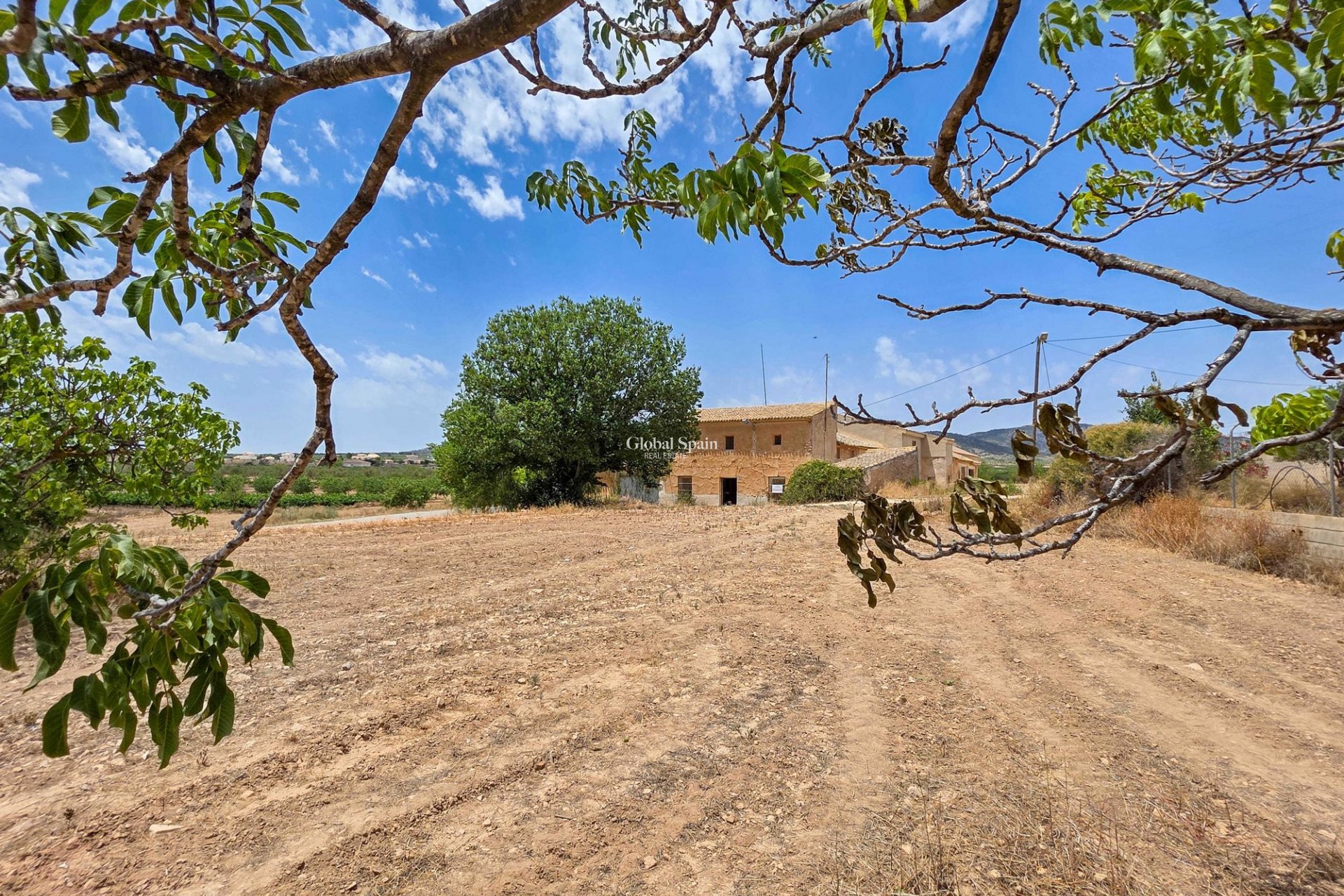 Venta - Casa rural -
Pinoso