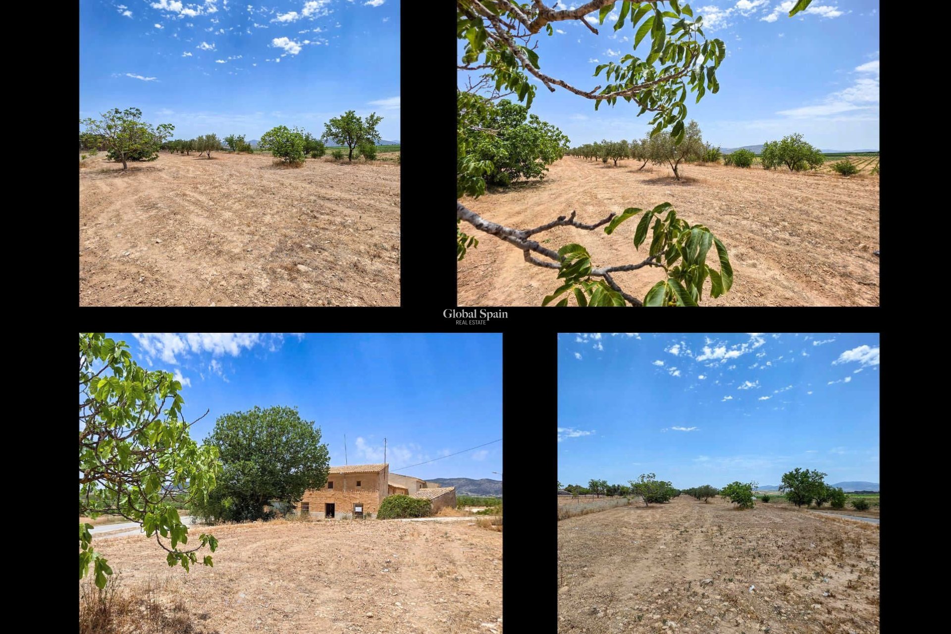 Venta - Casa rural -
Pinoso