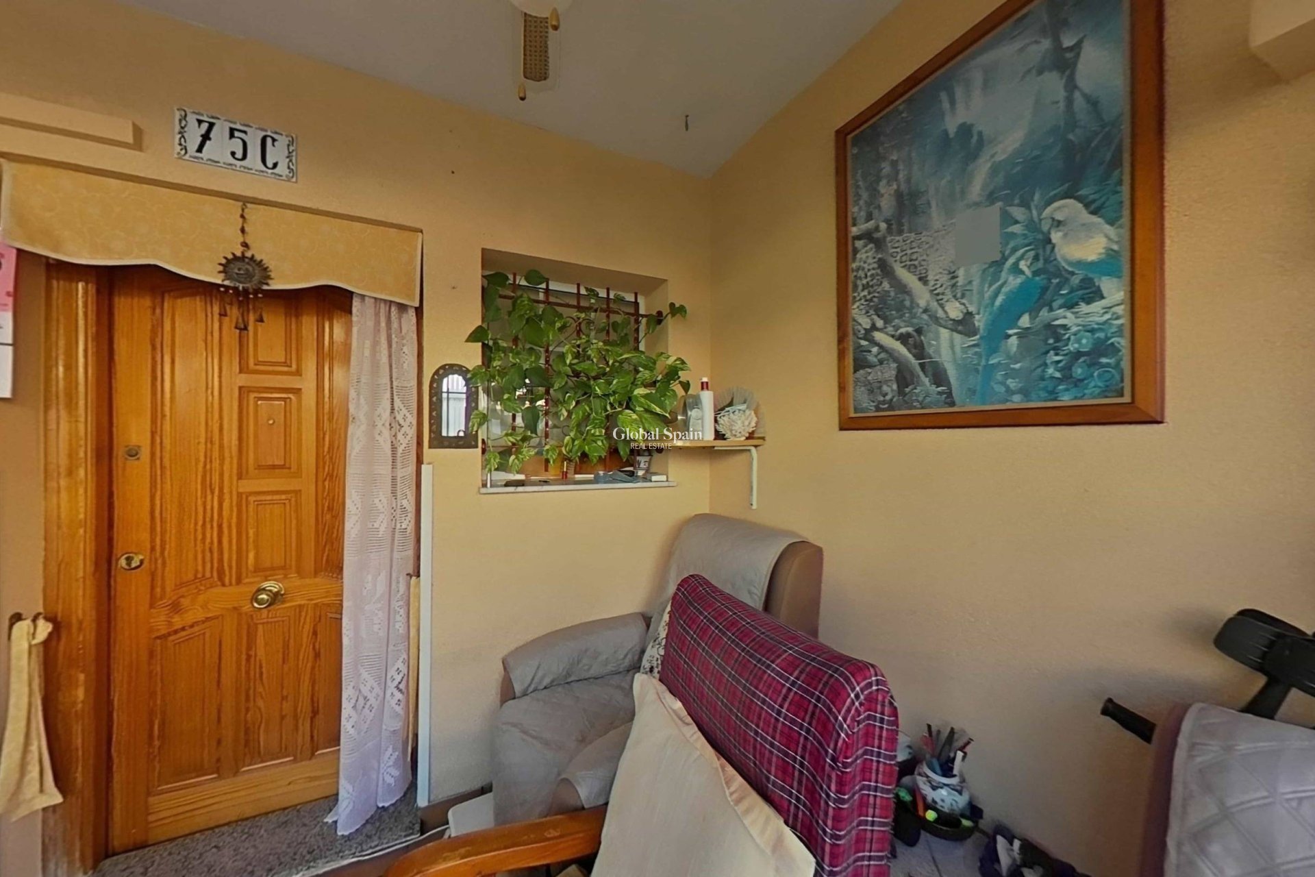 Venta - CASA -
SAN PEDRO DEL PINATAR - El salero