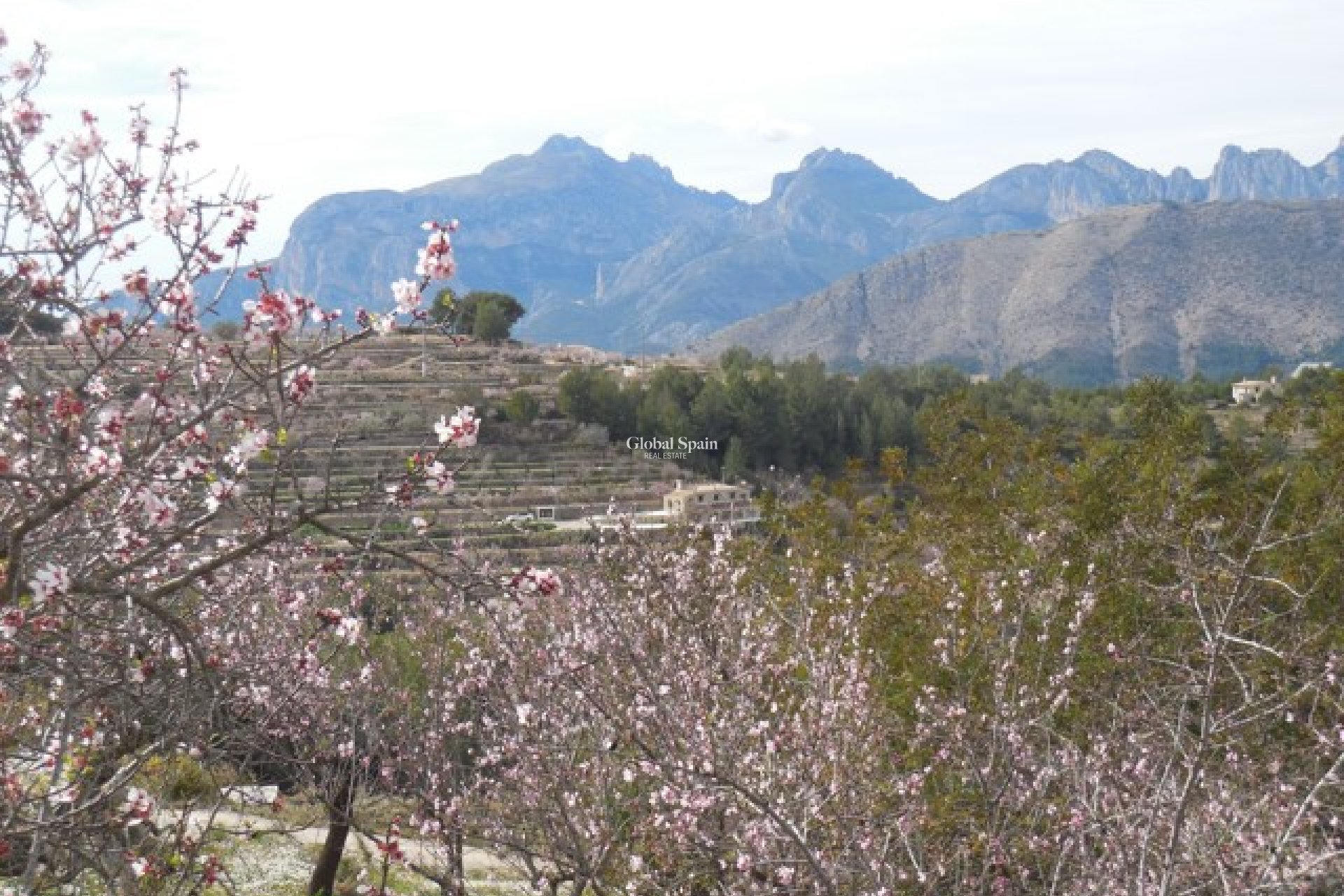 Venta - CASA -
TÀRBENA - Inland