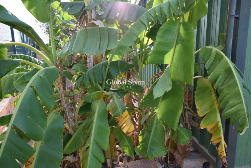 Venta - CASA -
TORRE PACHECO - Dolores De Pacheco